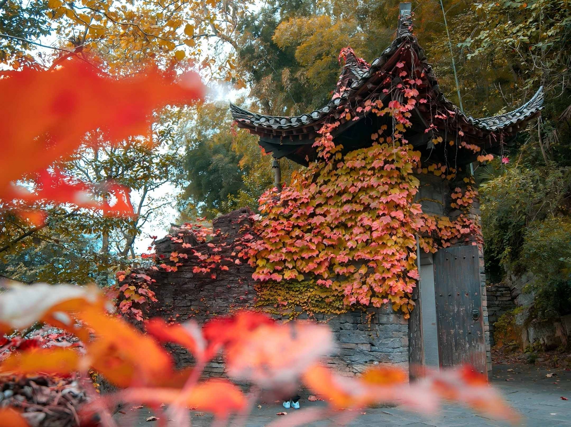 微信圖片_2025-11-28_092813_478(1)