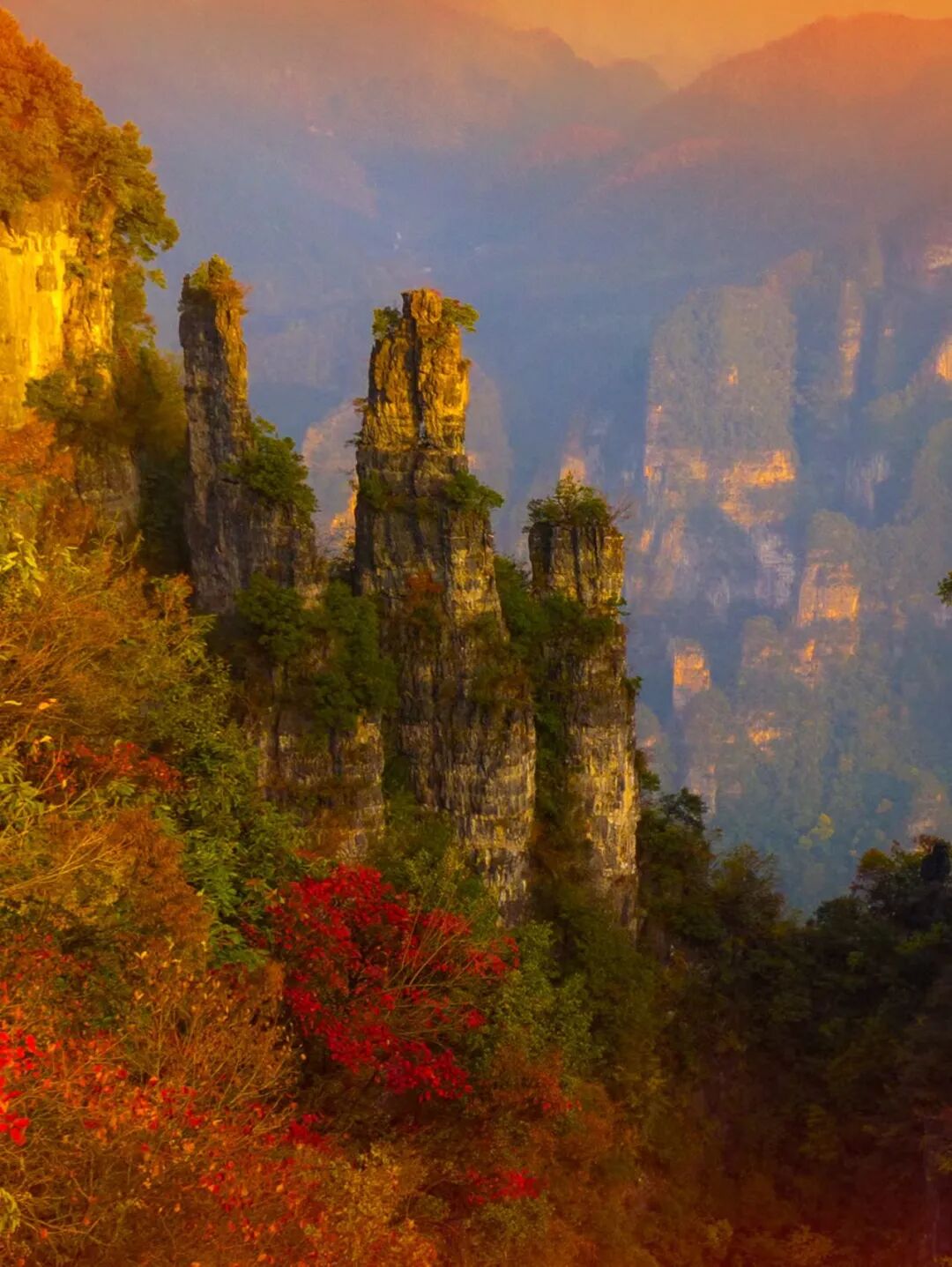 微信圖片_2025-11-28_093358_903