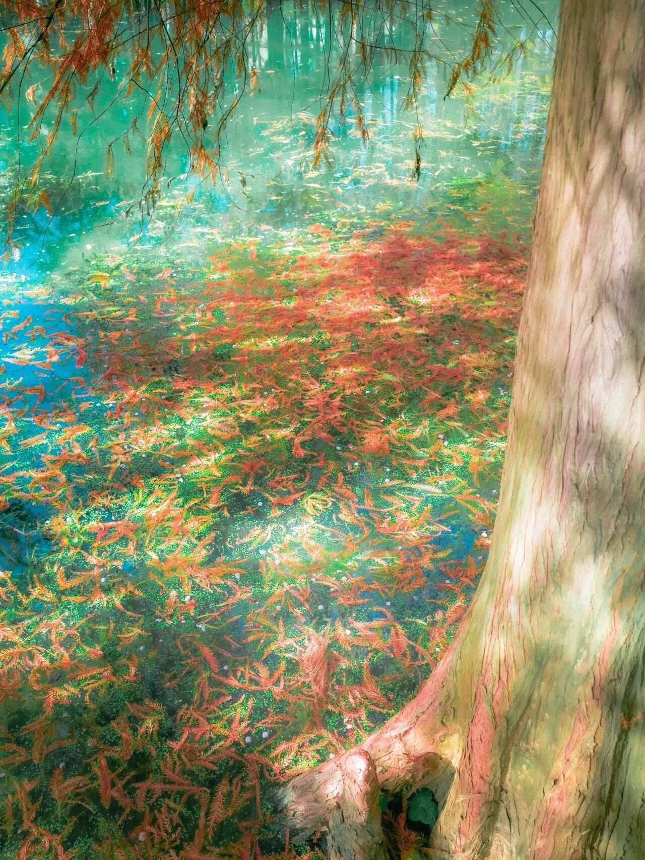 微信圖片_2025-12-03_090909_996