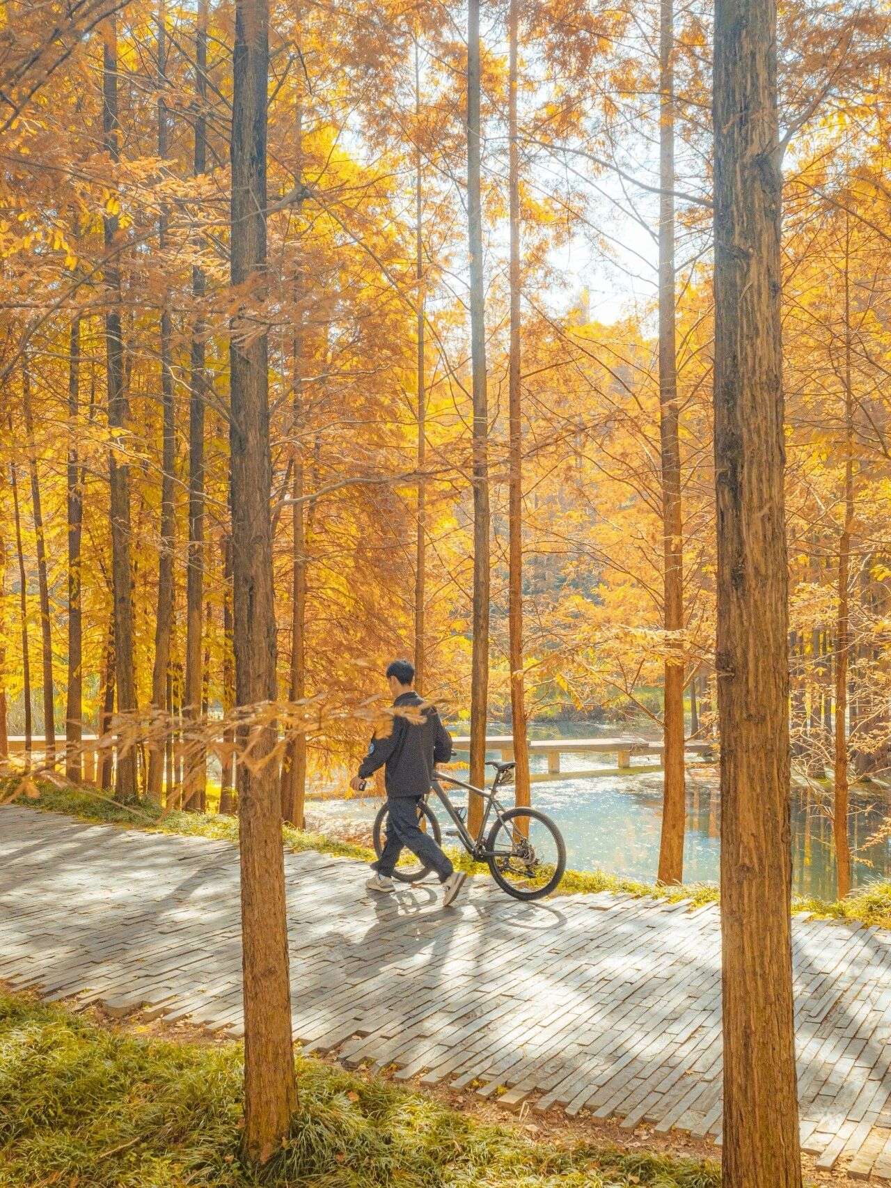 微信圖片_2025-12-03_090917_820