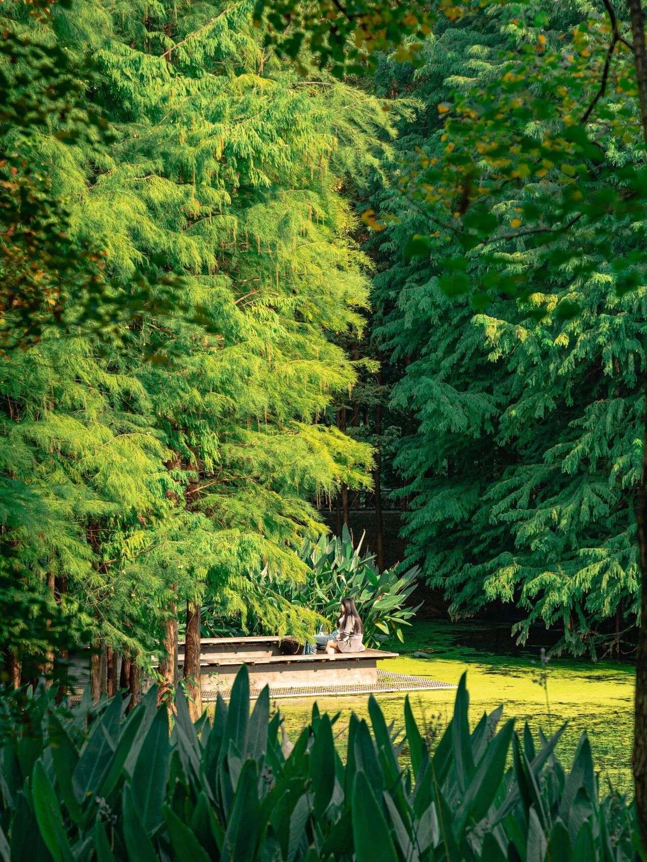 微信圖片_2025-12-03_090924_099