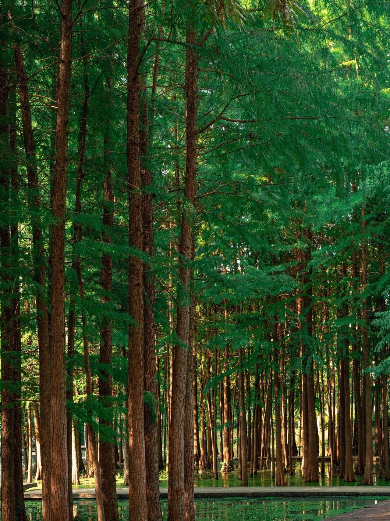 微信圖片_2025-12-03_090929_452