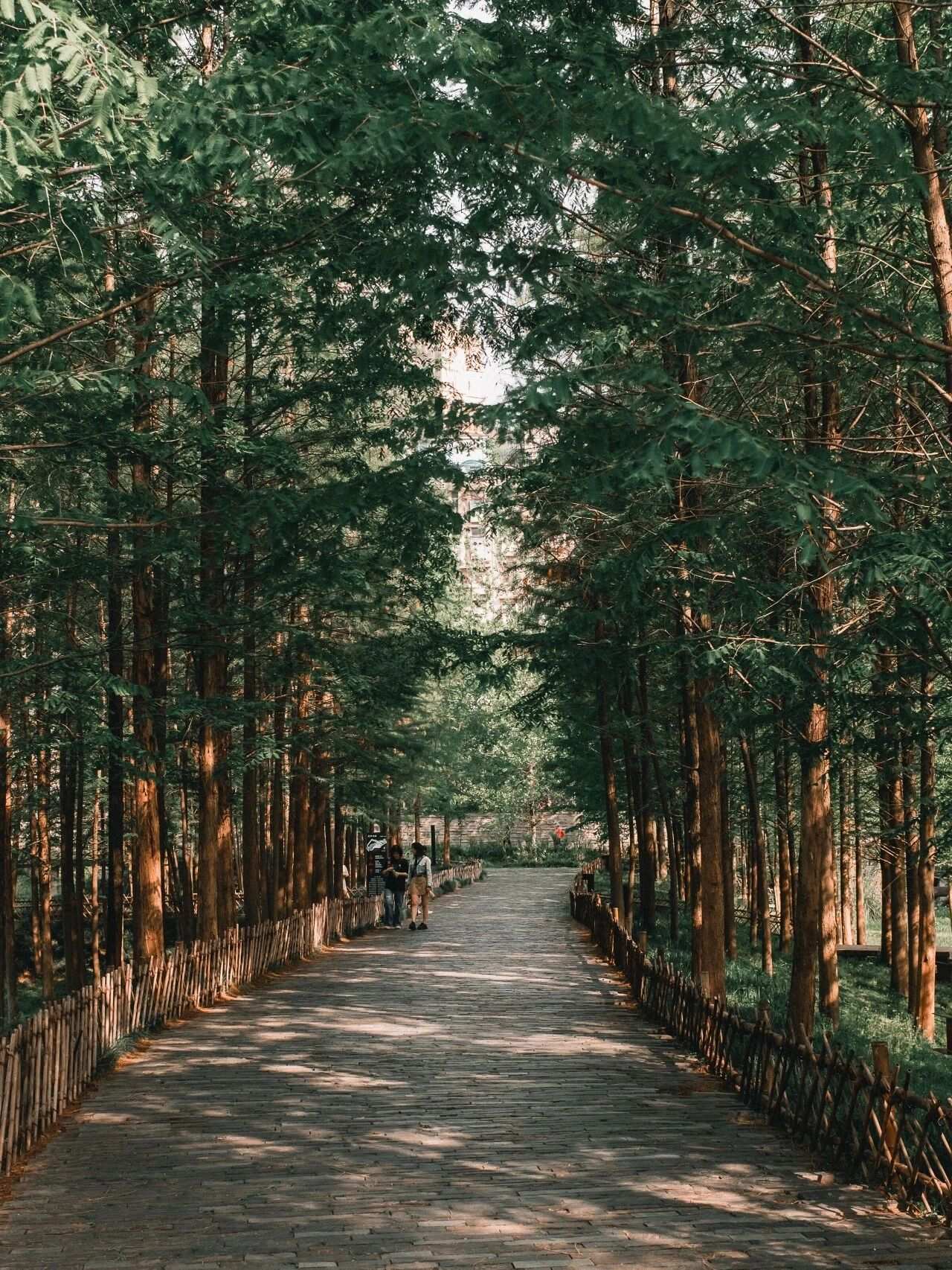 微信圖片_2025-12-03_090932_420