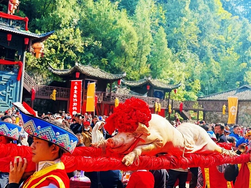 福滿車溪半日游!景區(qū)直通車